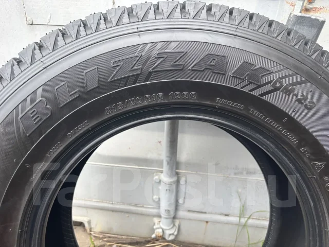 Bridgestone Blizzak DM-Z3. ������, ��� �����, ����� ����