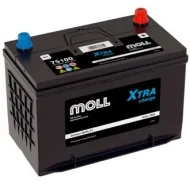 Moll