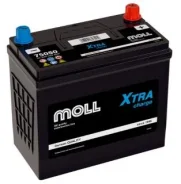 Moll