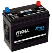 Moll