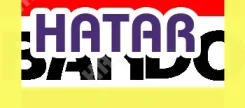 ������ ����������� Bando RAF3315 RAF3315 ����