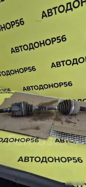 ������ �������� ����� ������� ����� 2007 ����