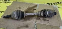 ������ �������� ����� ������� ����� 2007 ����