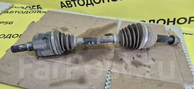 ������ �������� ����� ������� ����� 2007 ����