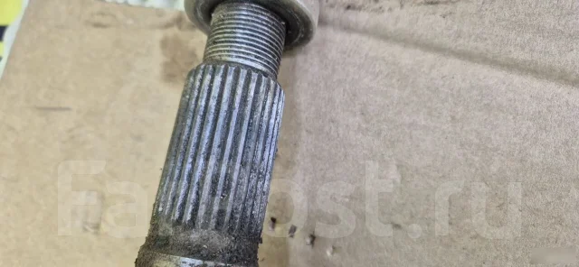 ������ �������� ����� ������� ����� 2007 ����