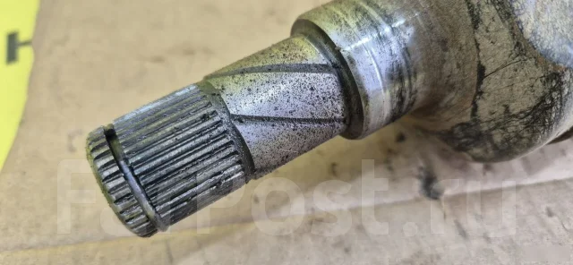 ������ �������� ����� ������� ����� 2007 ����