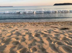 ������� ��������� ������� � ���� �� ������������. �� �������� ���� (�����������) ����