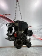 ��������� Ford Focus 1998-2007 EDDB EDDB 1215885, 1215904 ����