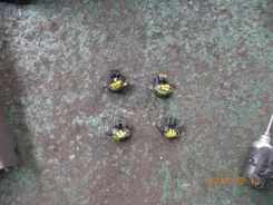 ������ tems Toyota MARK II 6271 JZX100, �������� ������ 6271 ����