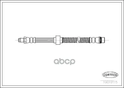 ��������� ����� �������� [438mm] Corteco ���. 19019115 19019115 ����