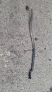 ������ ����� �������������� Volkswagen Passat 1999 4B0422893A B5 AHU 4B0422893A ����