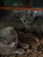 ����������� �����. ����