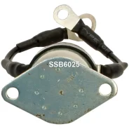 ����������� ���� �������� SSB6025 SSB6025 ����