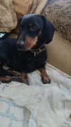 ������. ����