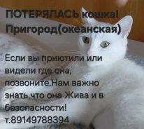 �����. ����