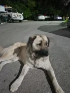 ������. ����