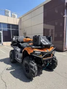 CFMoto CForce 600 EPS. ��������, ��� ���\���, �� ����