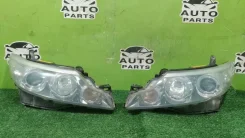 ���� Toyota Estima 28217 ACR50 2AZFE, �������� 28217 ����