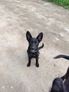 �������. ����