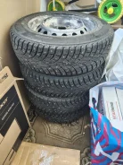 Triangle IcelynX TI501. ������, ����������, 2024 ���, �/�, ����� �� 5 % ����