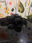 Canon EOS 2000D ����