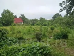 ������ ������ �������. �-� ��������������, ��� 10��&sup2;, ������� 10.7����., ���, ����: �������, ������������� 15 ��� ����