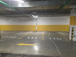 ����� �����������. ����