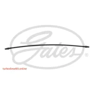 ��������� �������� Gates 021618 021618 ����