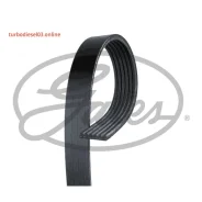 ������ ������������ Gates 6PK1540 6PK1540 ����