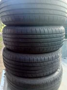 Maximo. ������, 2025 ���, �/�, ����� �� 5 % ����