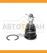 ����� ������� | ����� ����/��� | Toyota LAND Cruiser Prado, Hilux 95 - UP SG1094 ����