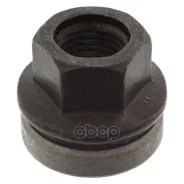 ����� M14x1,5 ��������� ������ FORD Transit (����������� ������ ������) 14~ FORD ���. 1811812 1811812 ����