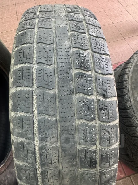 Presa PI02. ������, ��� �����, 2019 ���, �/�, ����� 60 % ����