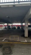 ����� �����������. ����