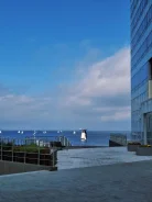 ��� ��������� ����