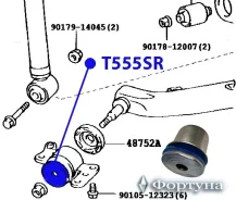 ����������� ������� ����������� ������ 18.2*60*52.2*33.5 (���. : T555SR). ���� �� 1 �� T555SR ����