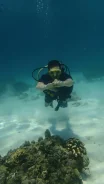 ���������, �������� ��� ��������! �������, ������ ������. ����