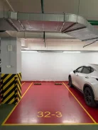����� �����������. ����