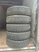 Cordiant Business. ������, ����������, 2023 ���, ����� ����