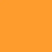 ��� �������� FST 2,72x11 ORANGE YELLOW ���������� 1033 ����