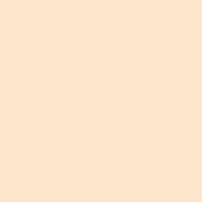 ��� �������� FST 2,72x11 NEW WHEAT �������� 1015 ����