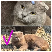 ����������� �����. ����