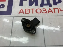 ������ ����������� �������� Audi Q7 4L 03C907386B ����