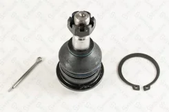 ����� ������� ������ Nissan Maxima (�������) Nissan Qashqai II 2.0 ALL MODE 4x4-i (J11R) 15/ Nissan Qashqai II 2.0 (J11E) 14/ Nissan Primera 1.6 Visia...