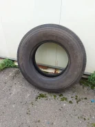 Roadshine. ������, 2025 ���, �/�, ����� 10 % ����
