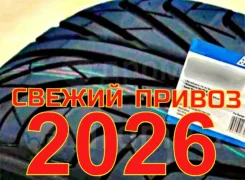 Triangle TR968. ������, 2026 ���, ����� ����