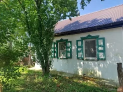 ��� ����� � �. �����. �-� ����������, ��� 53.5��&sup2;, ������� 23����., ���, ����: �������, ������������� 12 ��� ����