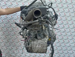 ������� Toyota ISIS 2008, 1ZZ-FE, ZNM10 [3050044261] 3050044261 ����