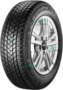 GT Radial WinterPro2