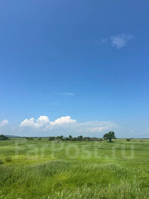 ��������� �������. 19.2����., ���, �������������, �������������. ���� ������� ����